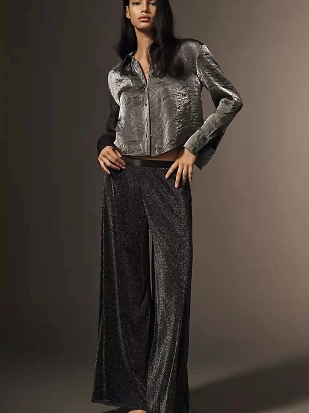 Anthropologie Hutch Black Metallic Wide Leg Pants NWT XS